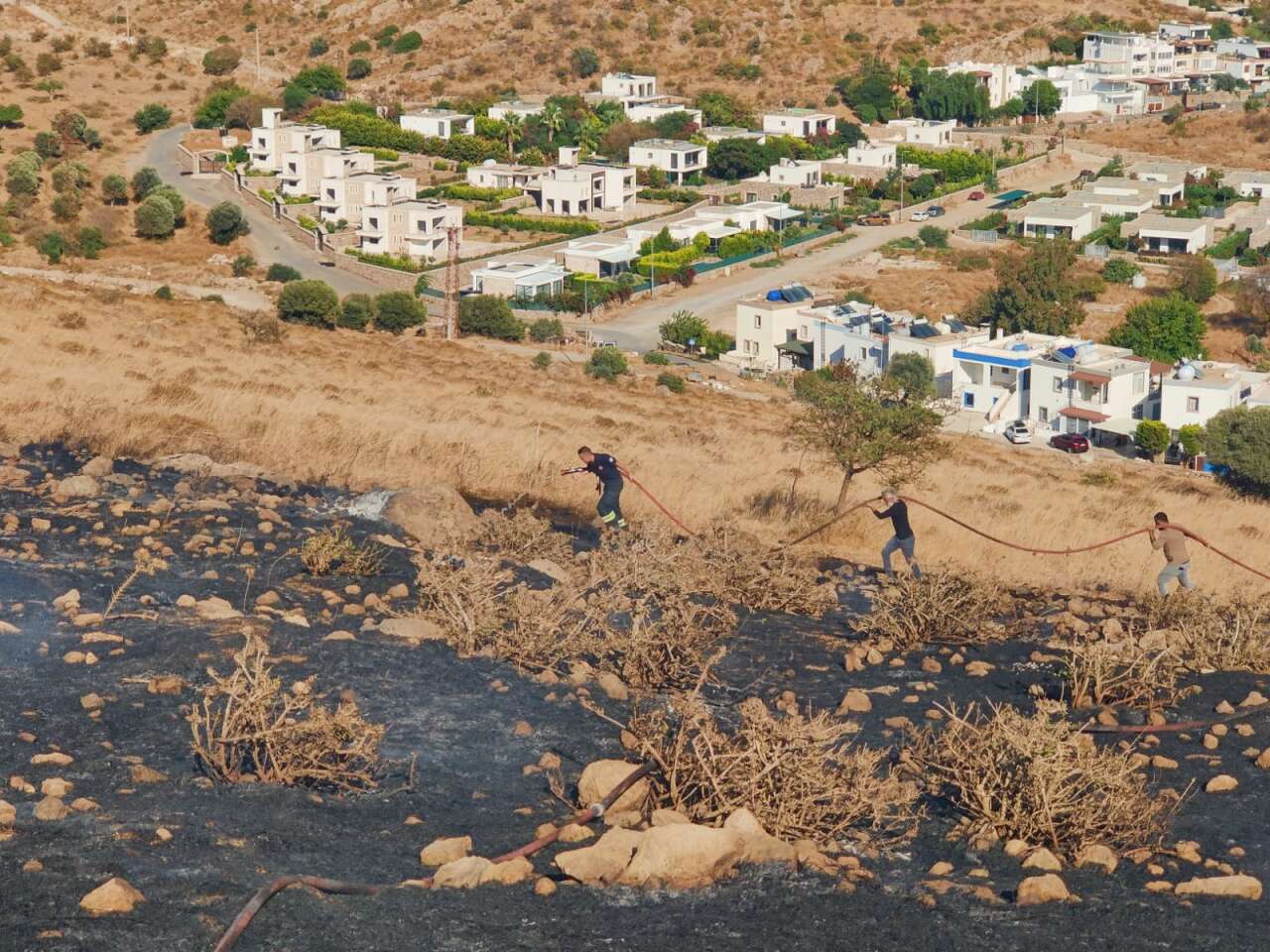 Bodrum'da Makilik Alanda Yangın, Ekipler Sevk Edildi 1